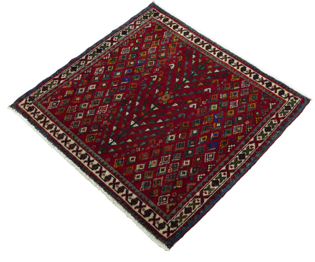 Shiraz - 1