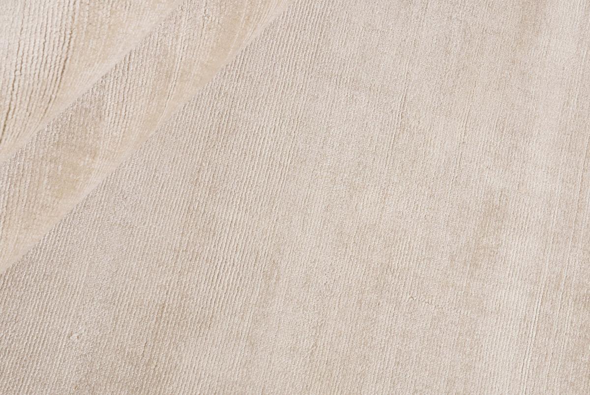 Distinct Shining Plain - 1