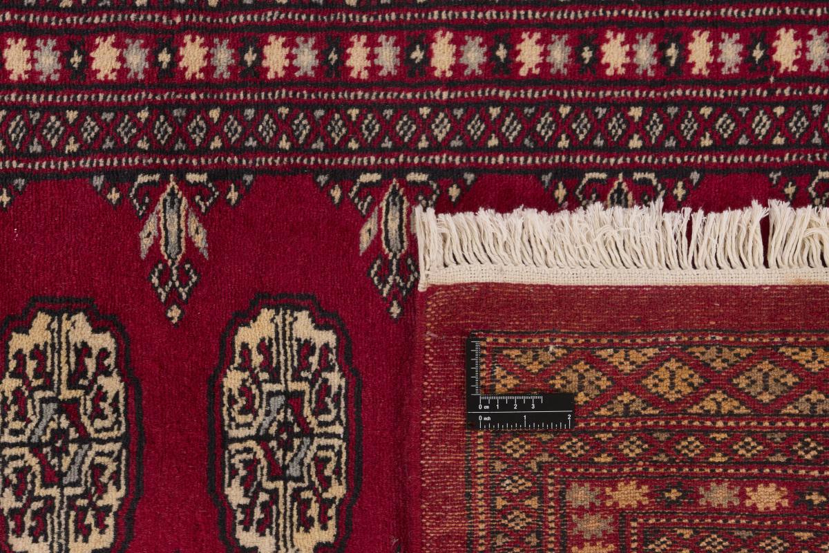 Pakistan Buchara 2ply - 1