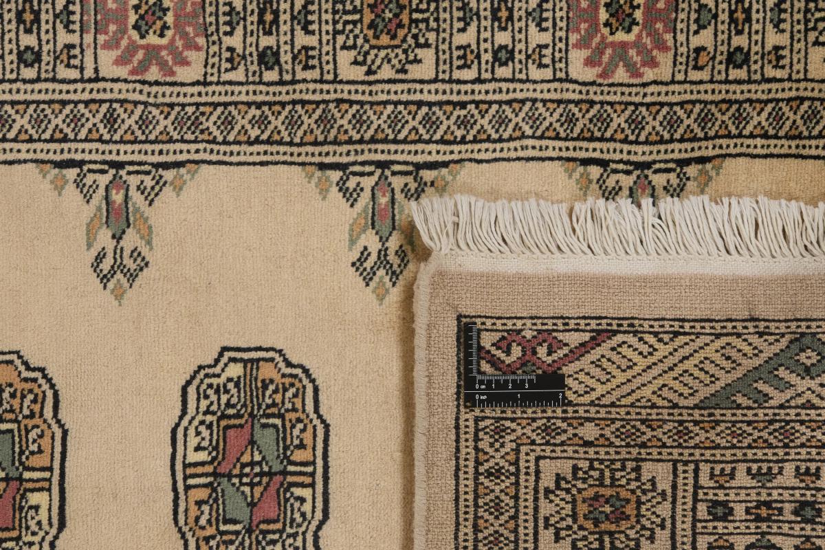 Pakistan Buchara 3ply - 1