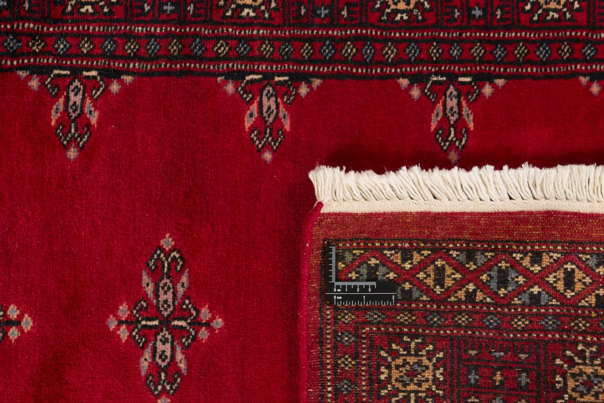 Pakistan Buchara 2ply - 1