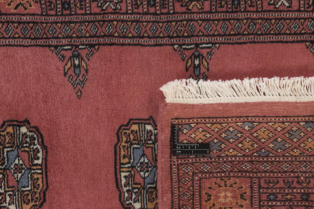 Pakistan Buchara 2ply - 1