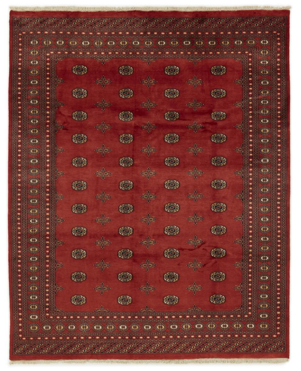 Alfombra pakistaní Pakistan Buchara 2ply 304x246 304x246, Alfombra persa Anudado a mano