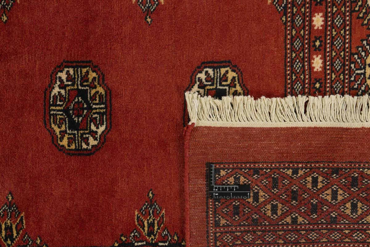 Pakistan Buchara 2ply - 1