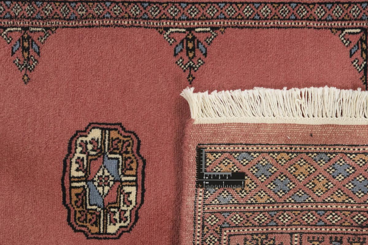 Pakistan Buchara 3ply - 1