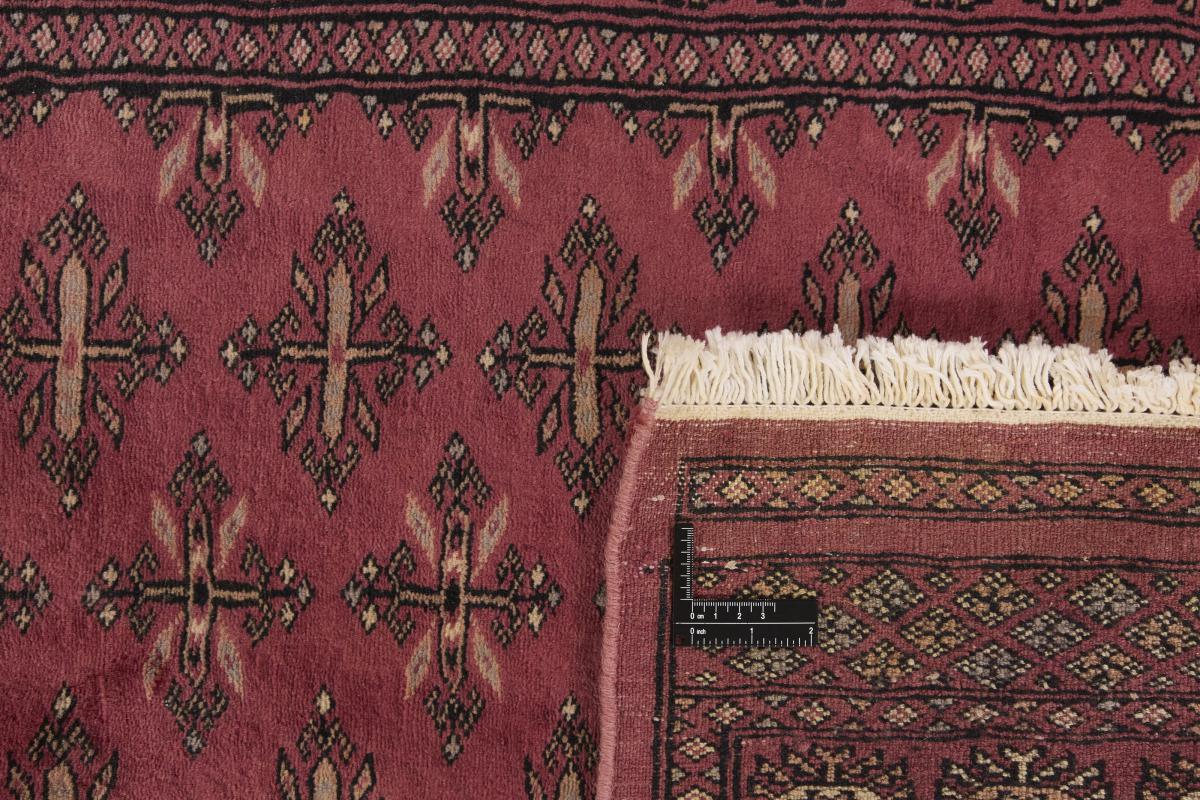 Pakistan Buchara 3ply - 1