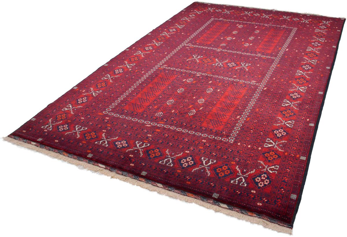 Afghan Mauri - 1