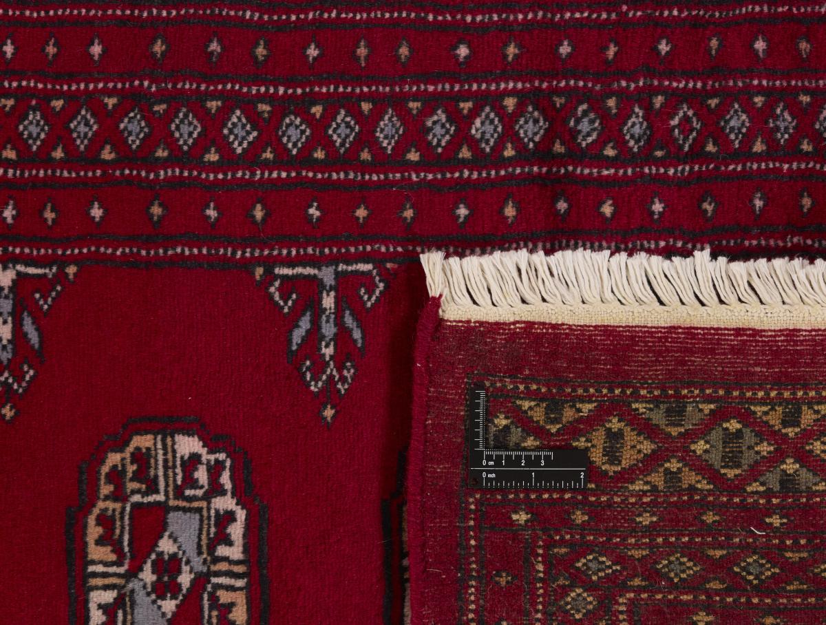 Pakistan Buchara 2ply - 1