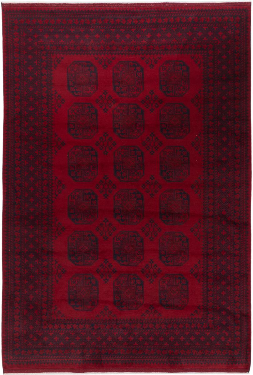 Afghanischer Teppich Afghan Akhche 9'8"x6'9" 9'8"x6'9", Perserteppich Handgeknüpft