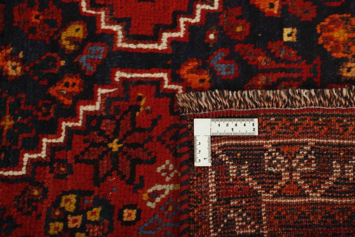 Shiraz - 1