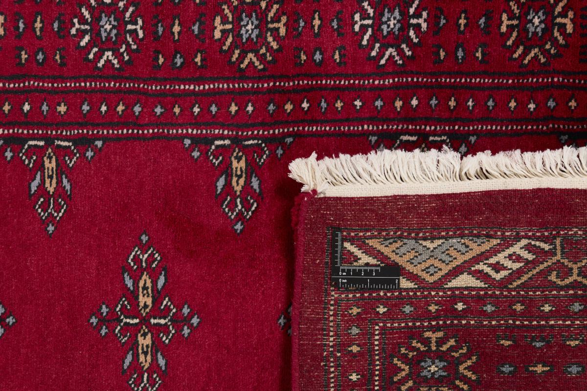 Pakistan Buchara 3ply - 1