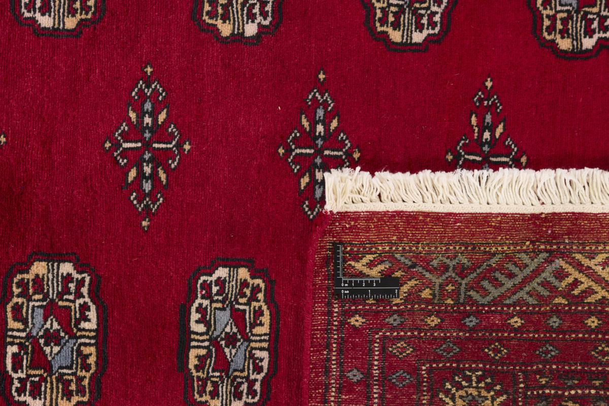 Pakistan Buchara 2ply - 1