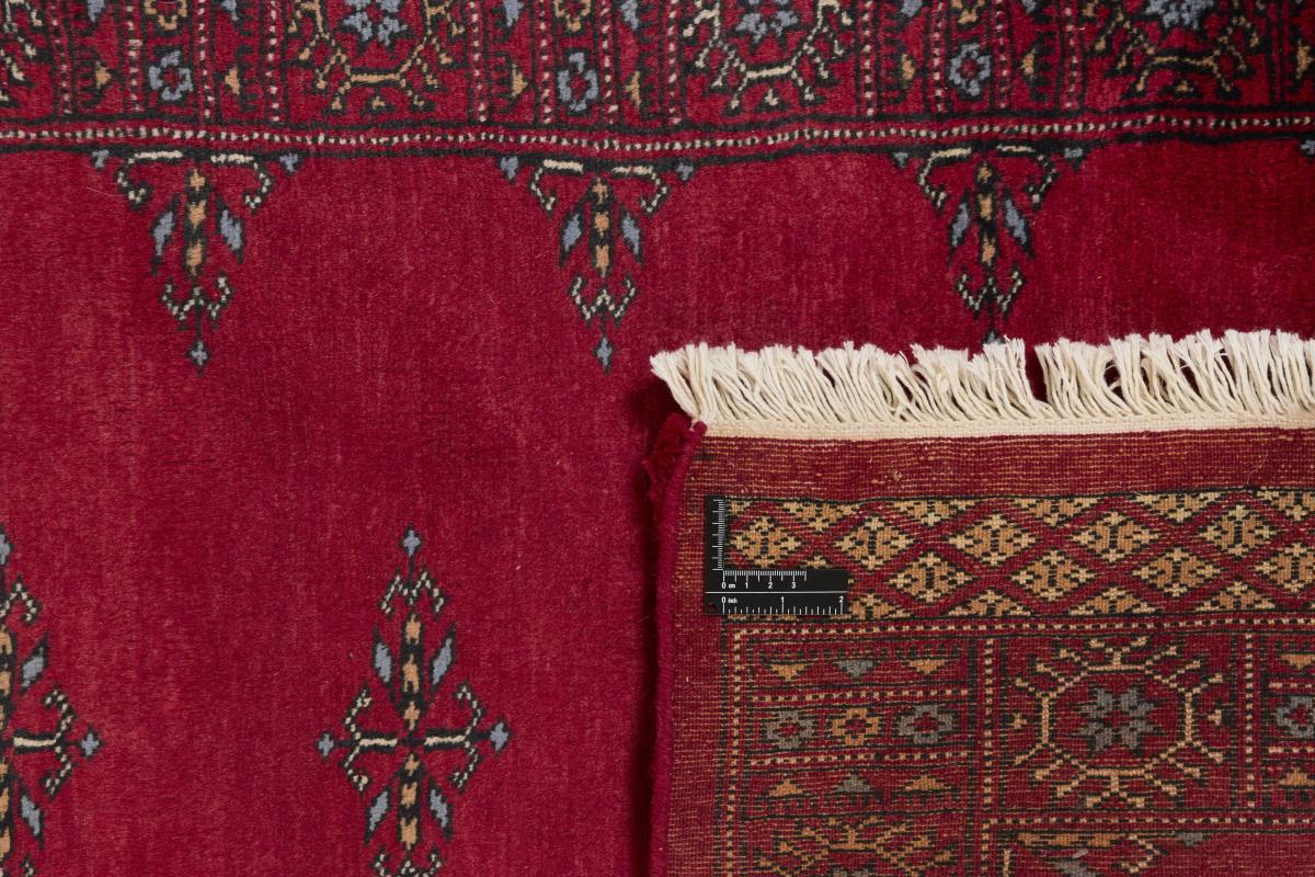 Pakistan Buchara 3ply - 1