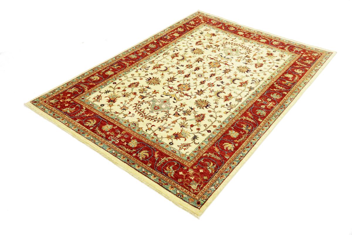 Arijana Ziegler Farahan - 1