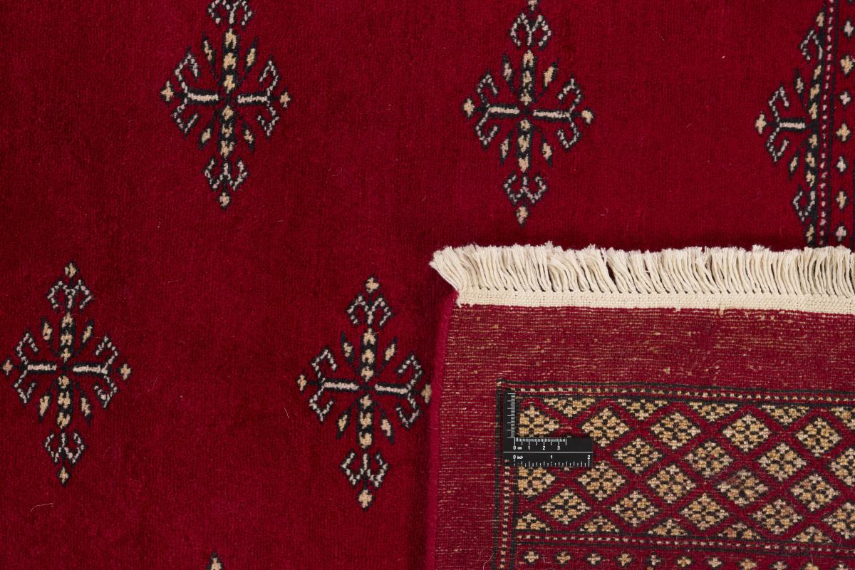 Pakistan Buchara 2ply - 1