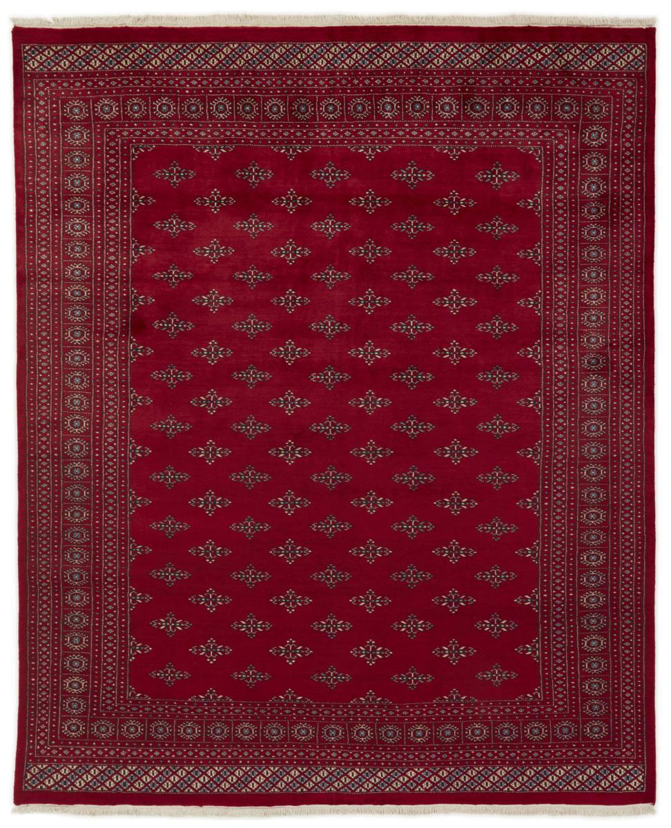 Alfombra pakistaní Pakistan Buchara 2ply 301x244 301x244, Alfombra persa Anudado a mano