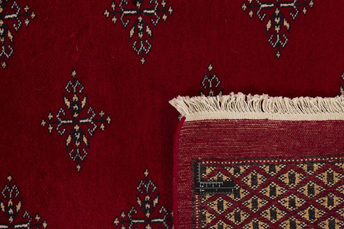 Pakistan Buchara 2ply - 1