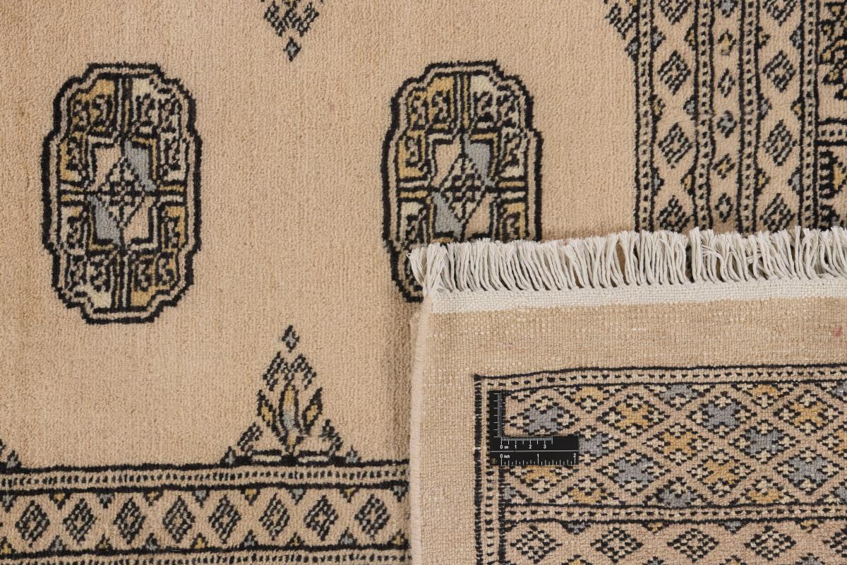 Pakistan Buchara 2ply - 1