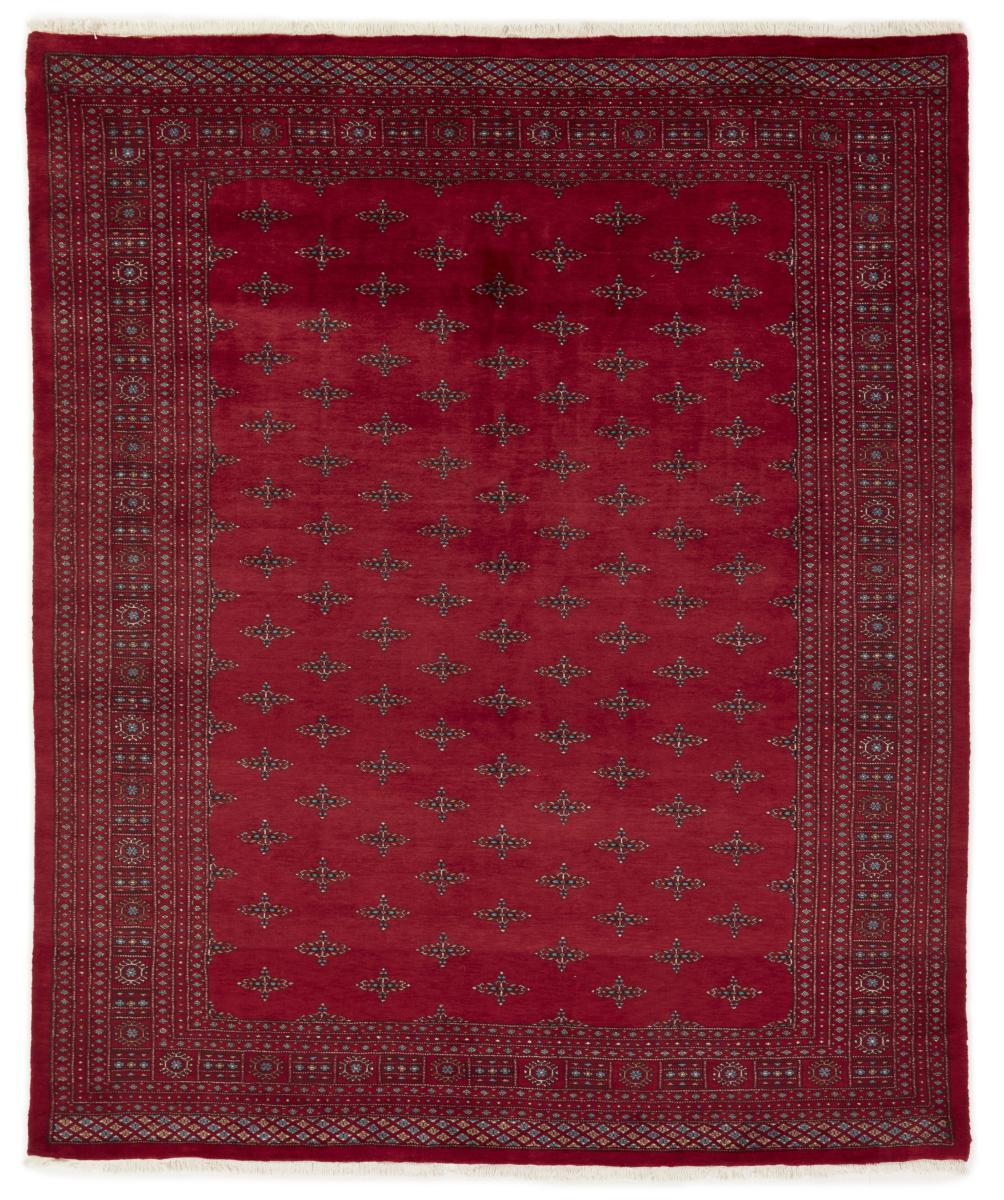 Alfombra pakistaní Pakistan Buchara 3ply 298x246 298x246, Alfombra persa Anudado a mano