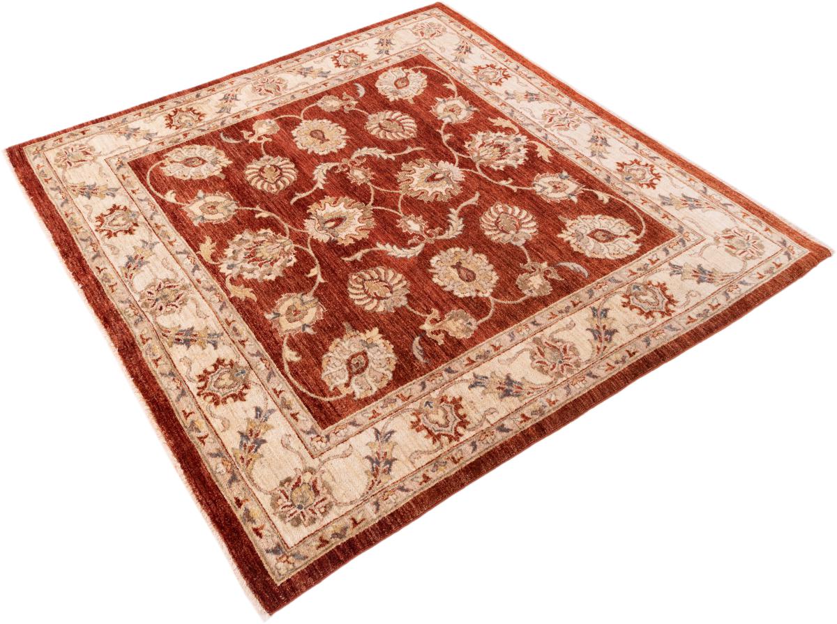 Ziegler Farahan - 1