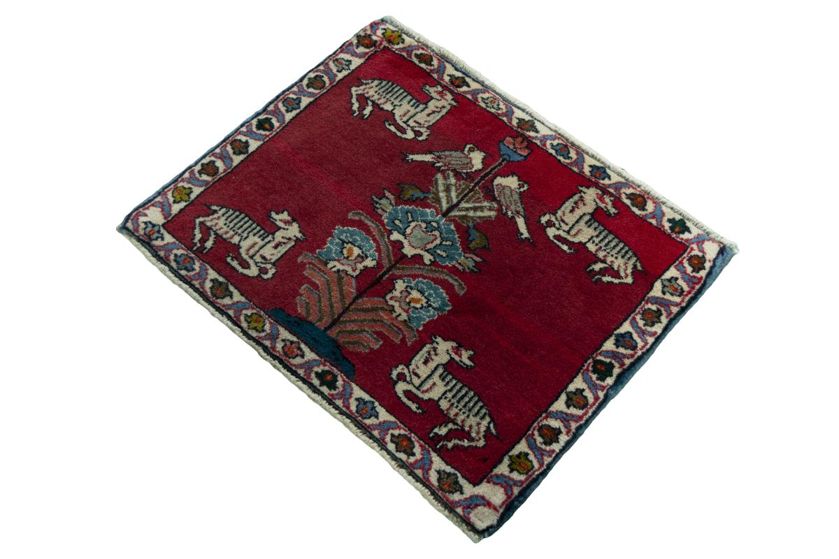 Shiraz - 1