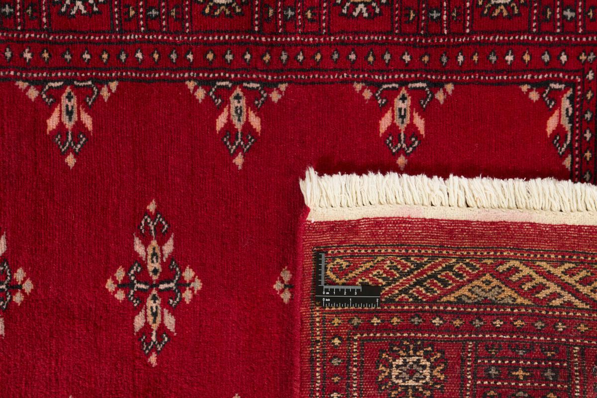 Pakisztáni Buchara 2ply - 1
