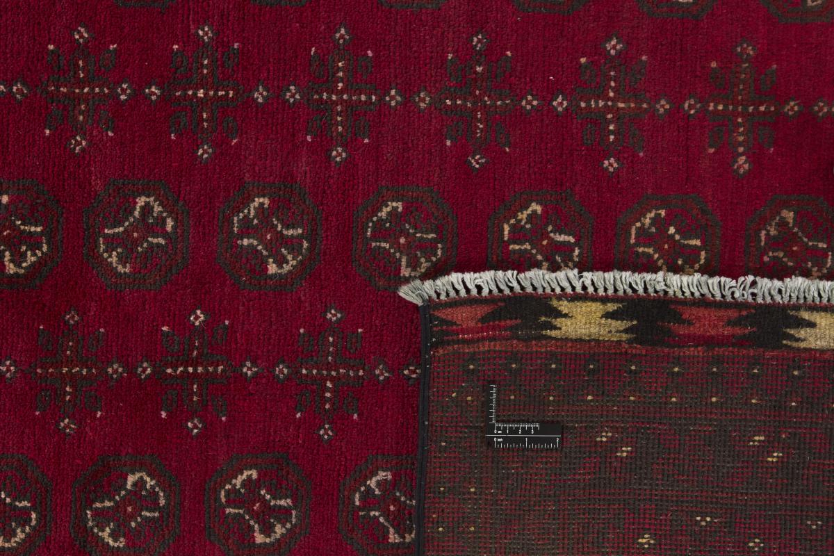 Afghan Akhche - 1