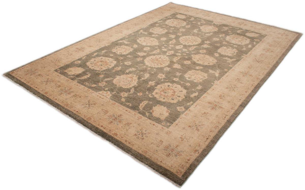 Ziegler Farahan - 1
