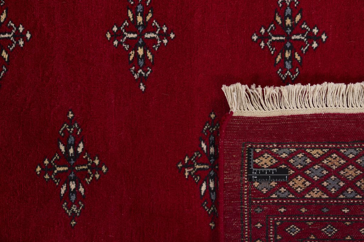 パキスタン Buchara 2ply - 1