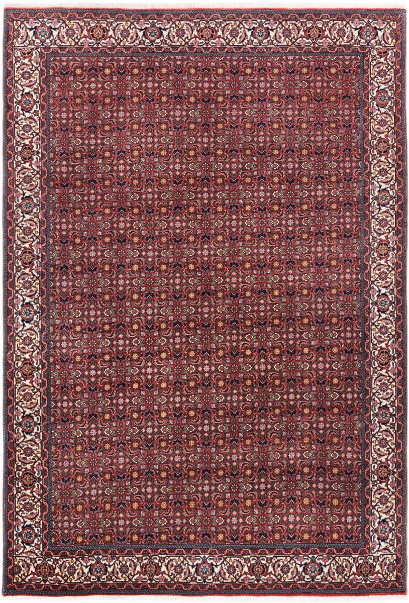 Tapis persan Bidjar 249x176 249x176, Tapis persan Noué à la main