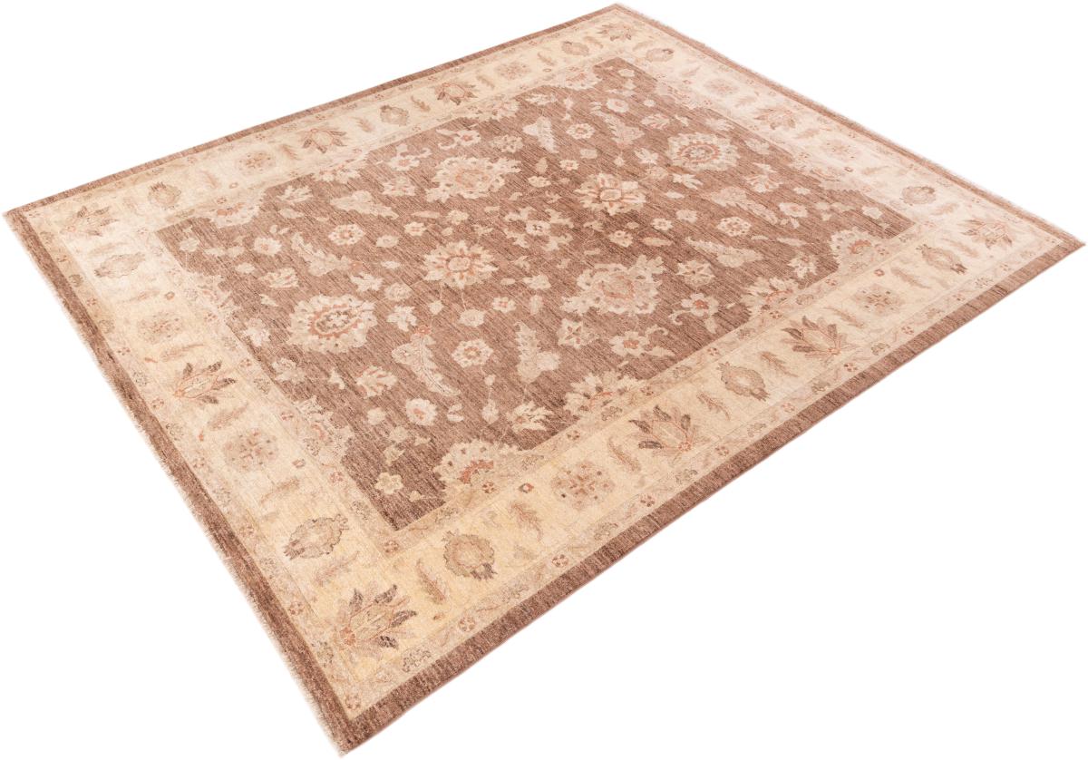 Ziegler Farahan - 1