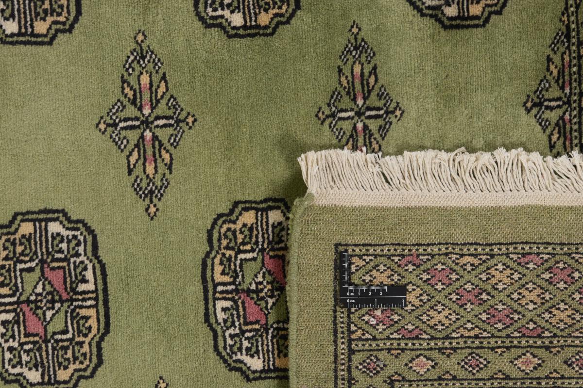 パキスタン Buchara 2ply - 1