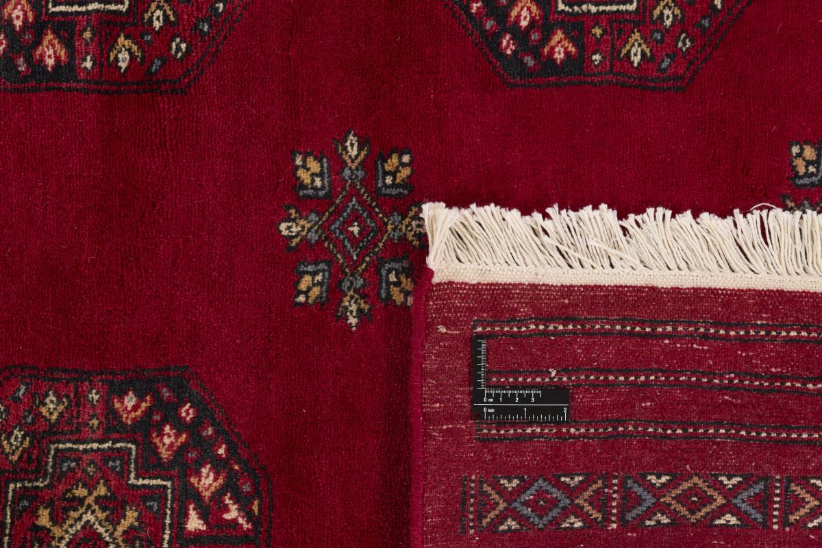 Pakistan Buchara 3ply - 1