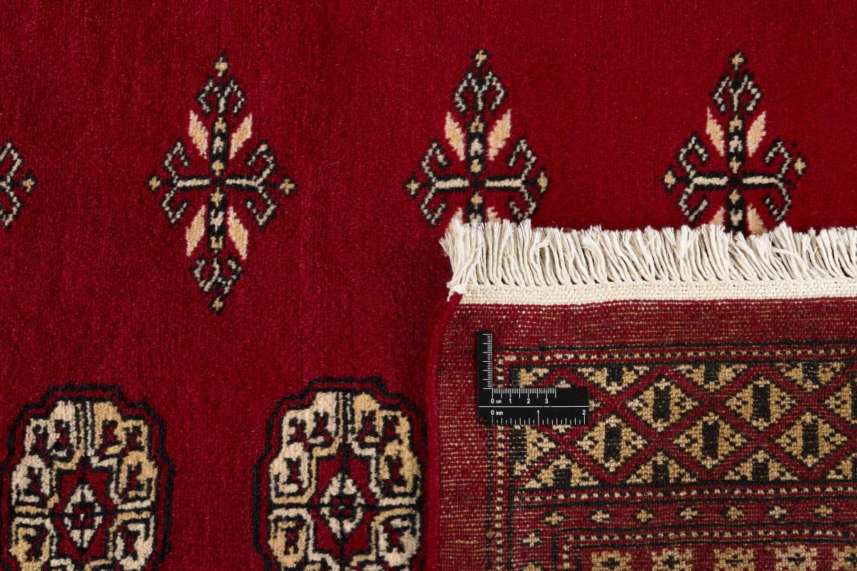 Pakistan Buchara 2ply - 1