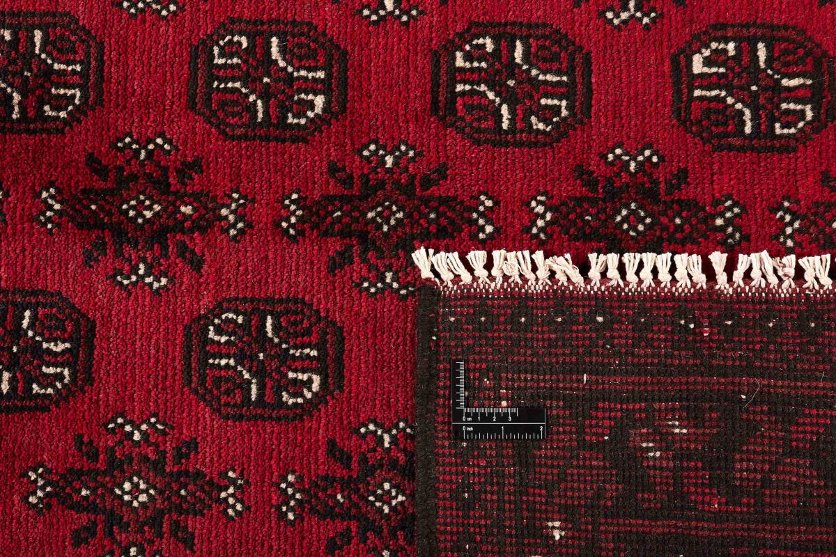 Afegão Akhche - 1