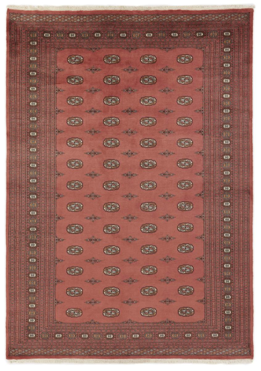 パキスタンのカーペット パキスタン Buchara 3ply 345x243 345x243,  ペルシャ絨毯 手織り