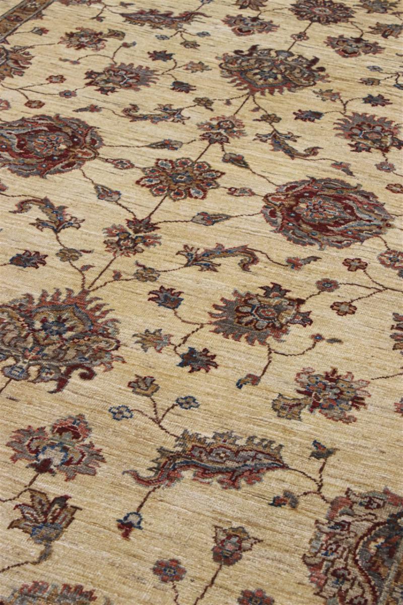 Ziegler Farahan - 1