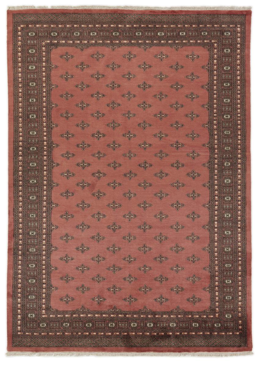 パキスタンのカーペット パキスタン Buchara 3ply 345x244 345x244,  ペルシャ絨毯 手織り