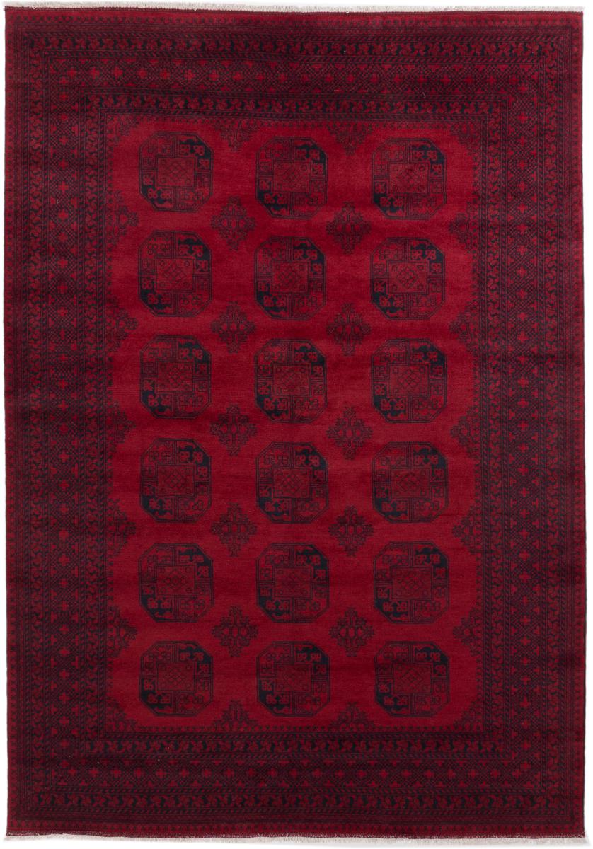 Afghan rug Afghan Akhche 9'8"x6'11" 9'8"x6'11", Persian Rug Knotted by hand