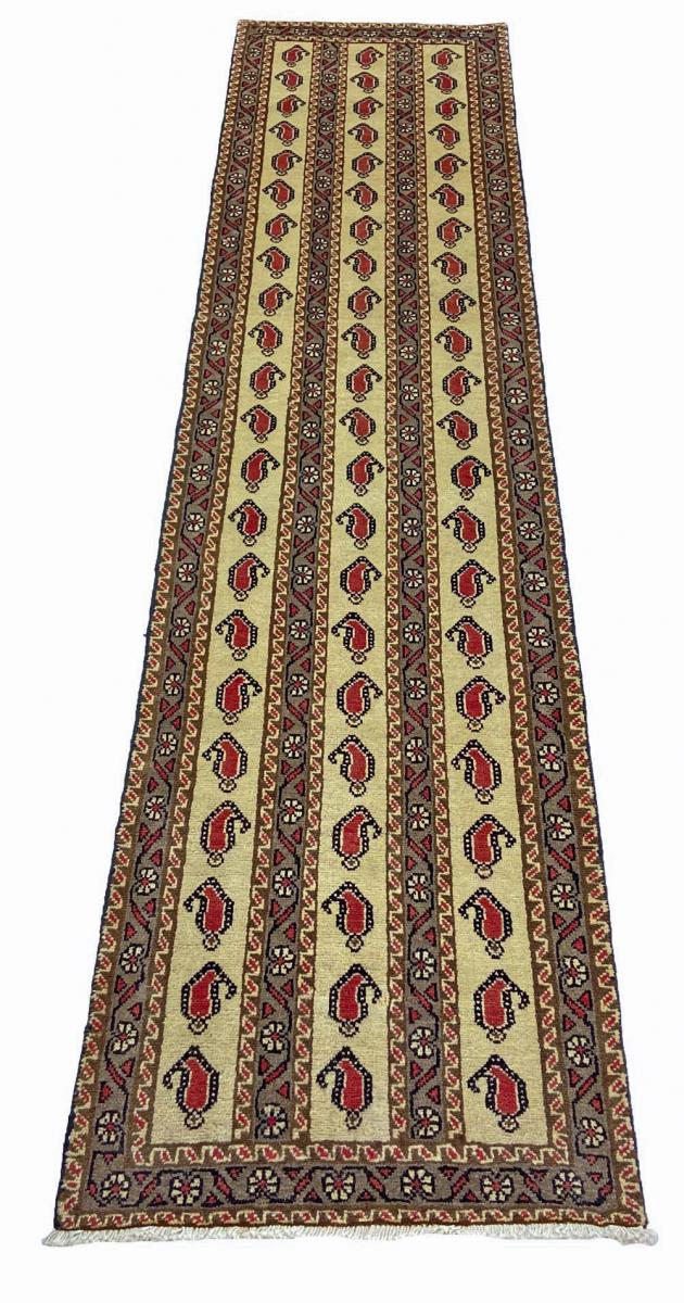Shiraz - 1