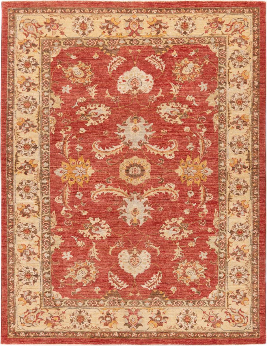 Alfombra pakistaní Ziegler Farahan 222x168 222x168, Alfombra persa Anudado a mano