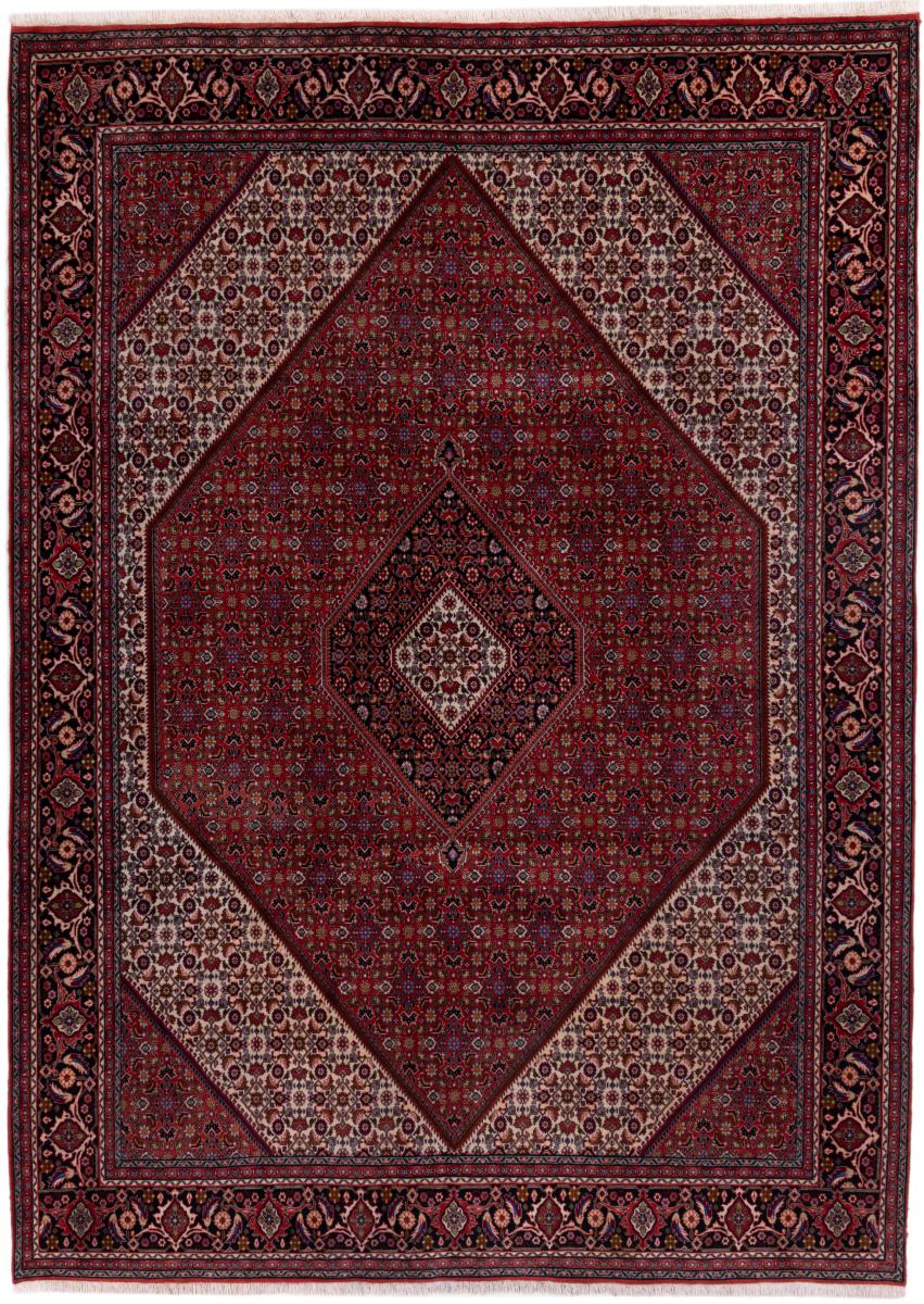 Persian rug Bidjar 11'1"x8'1" 11'1"x8'1", Persian rug Hand-knotted