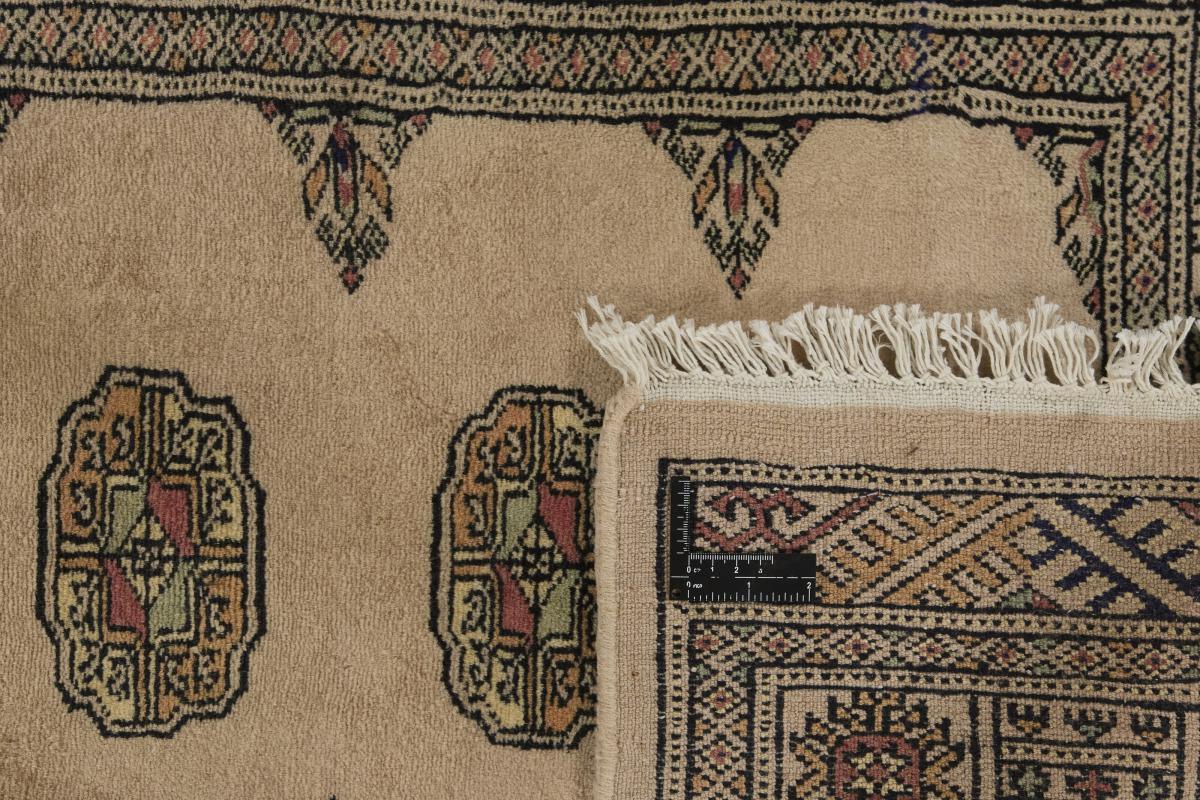 Pakistan Buchara 3ply - 1
