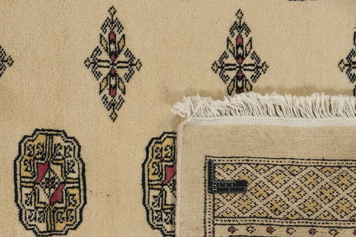 Pakistan Buchara 2ply - 1