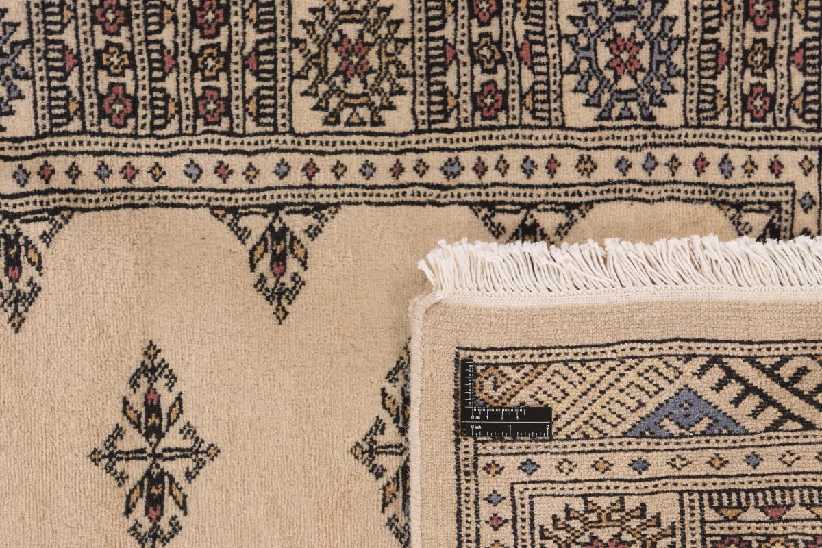Pakistan Buchara 3ply - 1