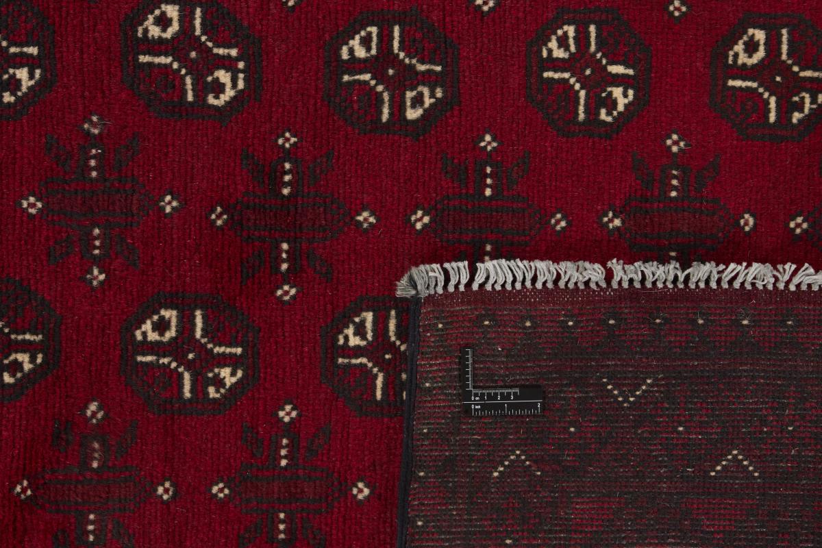 Afghan Akhche - 1