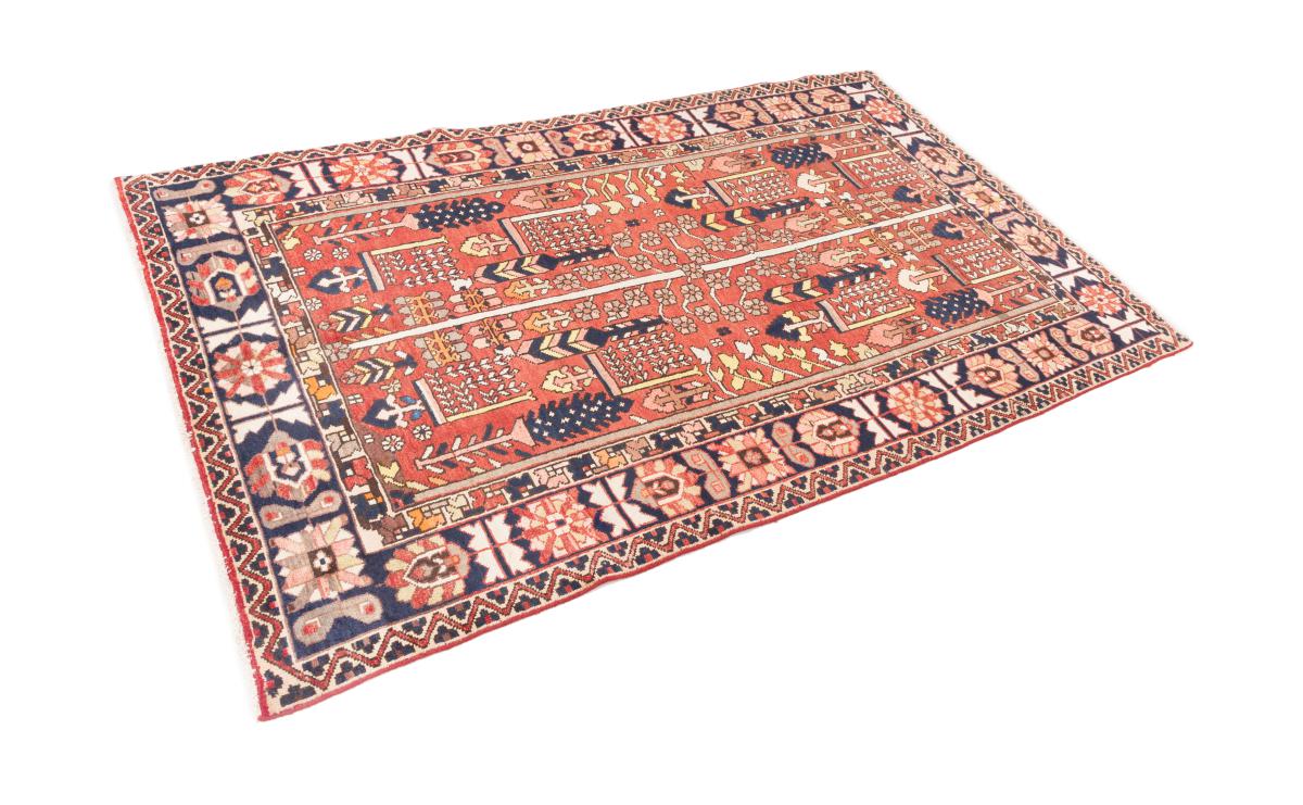 Bakhtiari - 1