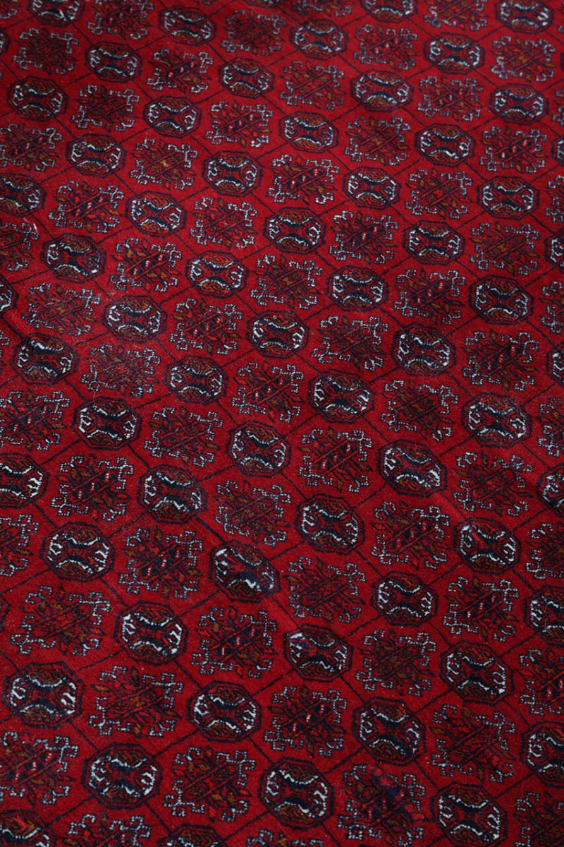 Afghan Mauri - 1