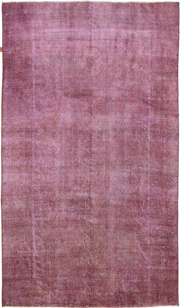 Pakistansk tæppe Vintage Royal 309x181 309x181, Persisk tæppe Knyttet i hånden