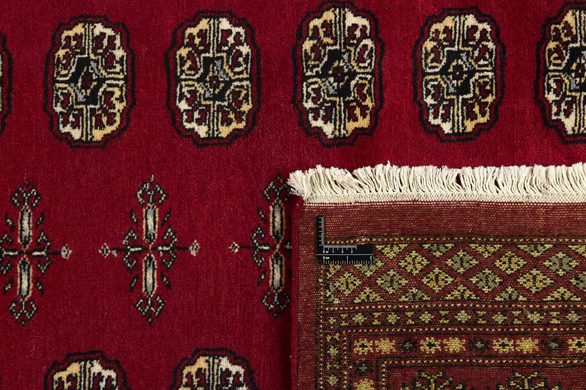 Pakistan Buchara 2ply - 1